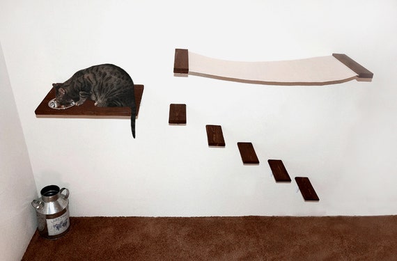 cat condo wall