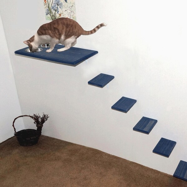 Dog Proof Cat Feeding Station Etsy