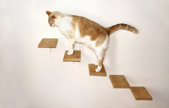 cat steps for wall