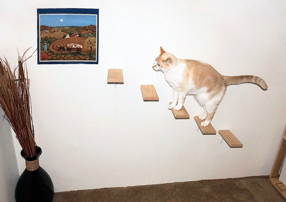 Ensemble De 5 Etapes De Chat En Bois Escalier Monte Mur Etsy France
