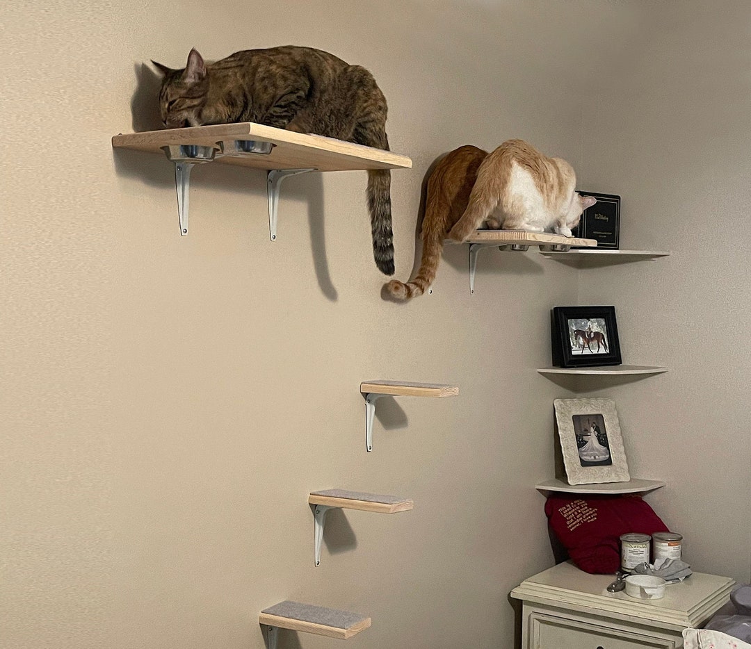 Two Wall Mounted Cat Feeding Stations Dog Proof 6 Cat Etsy