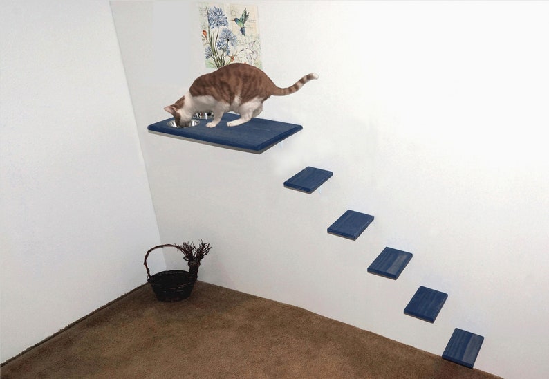 Large Cat Feeding Station Wall Mounted 5 Wide Cat Climbing Etsy