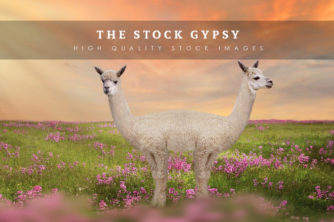 Push Me Pull You Doctor Doolittle Inspired Overlay Etsy