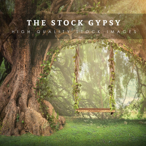 Tree Swing Outdoors - Etsy