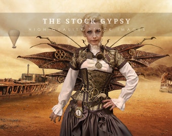 Steampunk Wings Overlay - PNG file for Photoshop