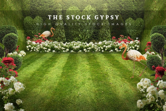 Alice In Wonderland Garden Digital Background Etsy