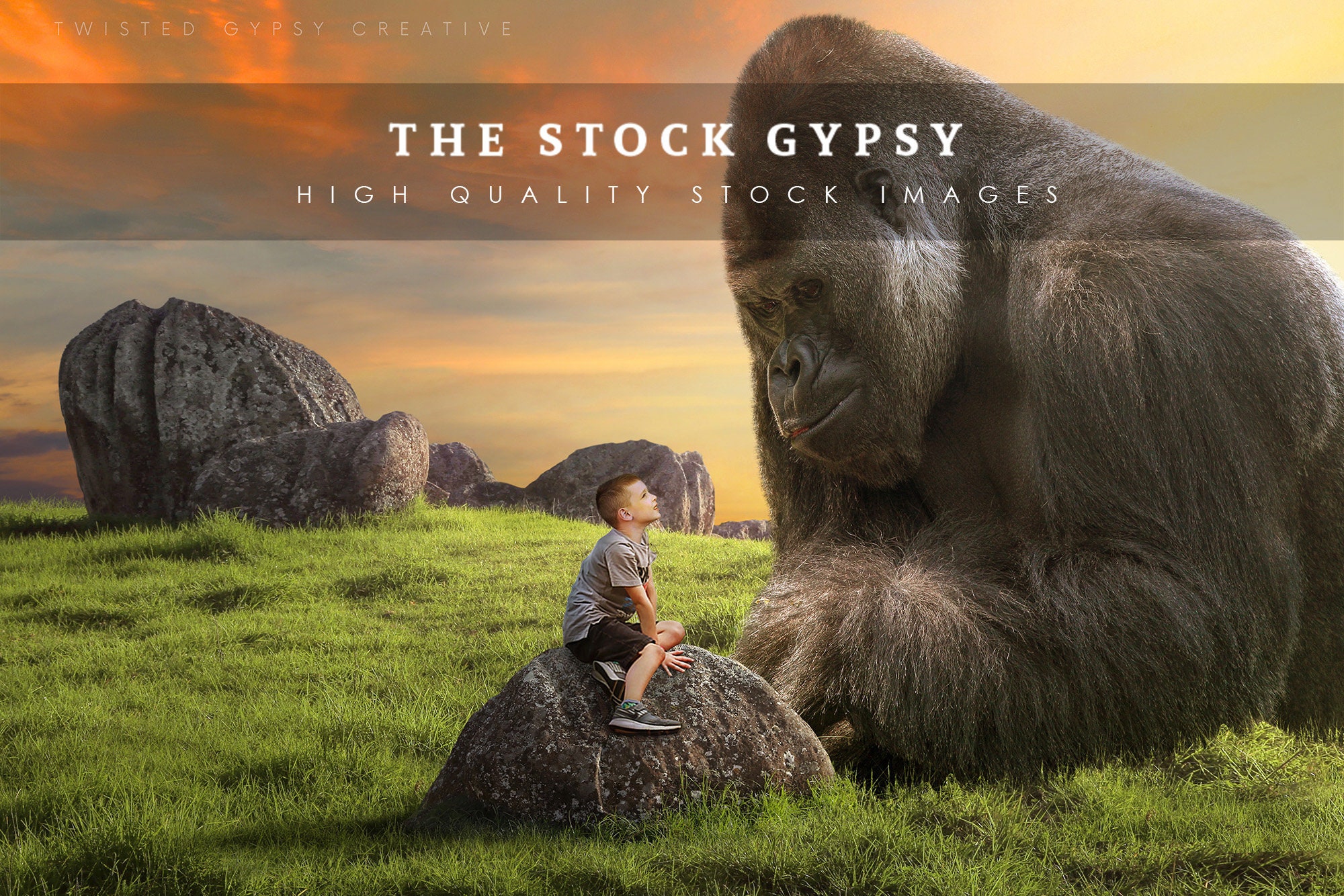 Giant Gorilla Background For Photoshop Etsy