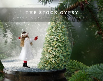 Christmas Digital Background / Backdrop . Santa in Snow Globe - Etsy