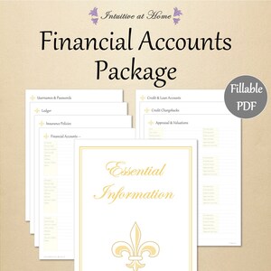 Mini Financial Accounts Planner Printable – Gold Editable Fillable Personal Finance Account Organizer Budget Planner PDF Financial Planner