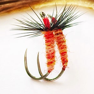 Idaho Killer Bug