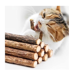 Matatabi top dental sticks
