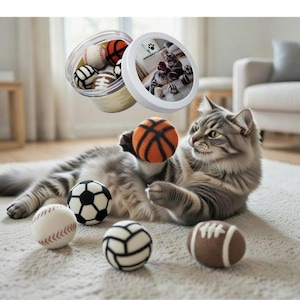 Palline sportive per gatti in feltro di lana imbevute di erba gatta, con barattolo ricaricabile incluso.