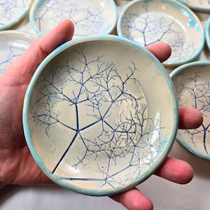 May include: A small, round ceramic dish with a cream-colored glaze and a hand-painted dark blue branching tree or root pattern. The dish features a light blue rim and a smooth, glossy finish, showcasing a delicate, intricate design.