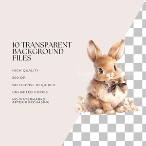 Easter Woodland Bunnies Clipart Bundle - Watercolor Rustic Boho Easter ...