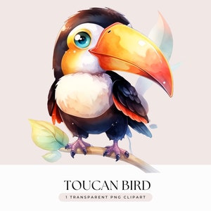 オオハシ鳥クリップアート - 水彩画のかわいい熱帯鳥オオハシベビーシャワー保育園カード作成クラフト - 透明な背景 1 PNG グラフィック