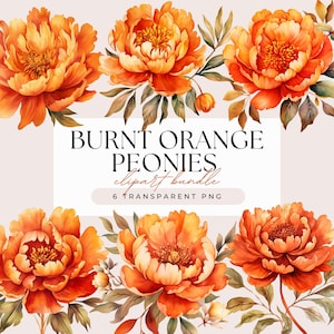 Burnt Orange Peony Flower Clipart Bundle - Watercolor Orange Peonies Autumnal Fall Wedding Flowers - Transparent Background 6 PNG Graphics