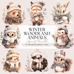 Paquete de imágenes prediseñadas de animales del bosque de invierno: acuarela, bosque navideño, oso, conejo, ciervo, búho, zorro, zorrillo, fondo transparente, 8 gráficos PNG