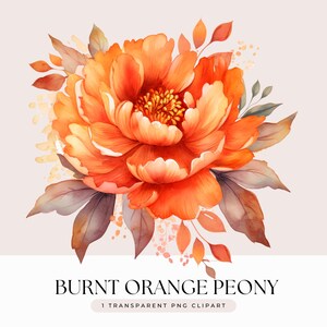 焦げたオレンジ色の牡丹の花のクリップアート - 水彩画の秋のオレンジ色の牡丹のウェディングフラワーブーケ - 透明な背景 1 PNG グラフィック