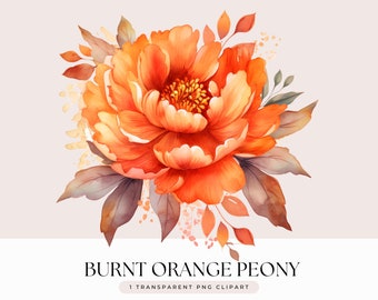 Burnt Orange Peony Flower Clipart - Watercolor Autumnal Fall Orange Peony Wedding Flower Bouquet  - Transparent Background 1 PNG Graphic