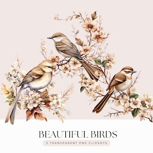 Schöne Vögel in den Blüten Clipart Bundle - Vintage Aquarell brauner Vogel auf Ast Kommerzielle Nutzung - Transparente Hintergrund 3 PNG Grafik