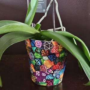 May include: A green orchid plant in a colorful plastic pot with a design of dice. The pot is covered in a variety of dice with different numbers and colors.