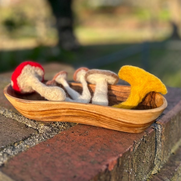 Felted Fungus Assortment (chanterelle, cinnamon caps, fly amanita, shitake)