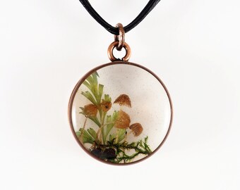 tiny mushrooms fern moss necklace botanics in resin dry mushrooms jewelry nature inspired mushroom lover gift terrarium pendant