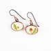 see more listings in the Mushroom Earrings section