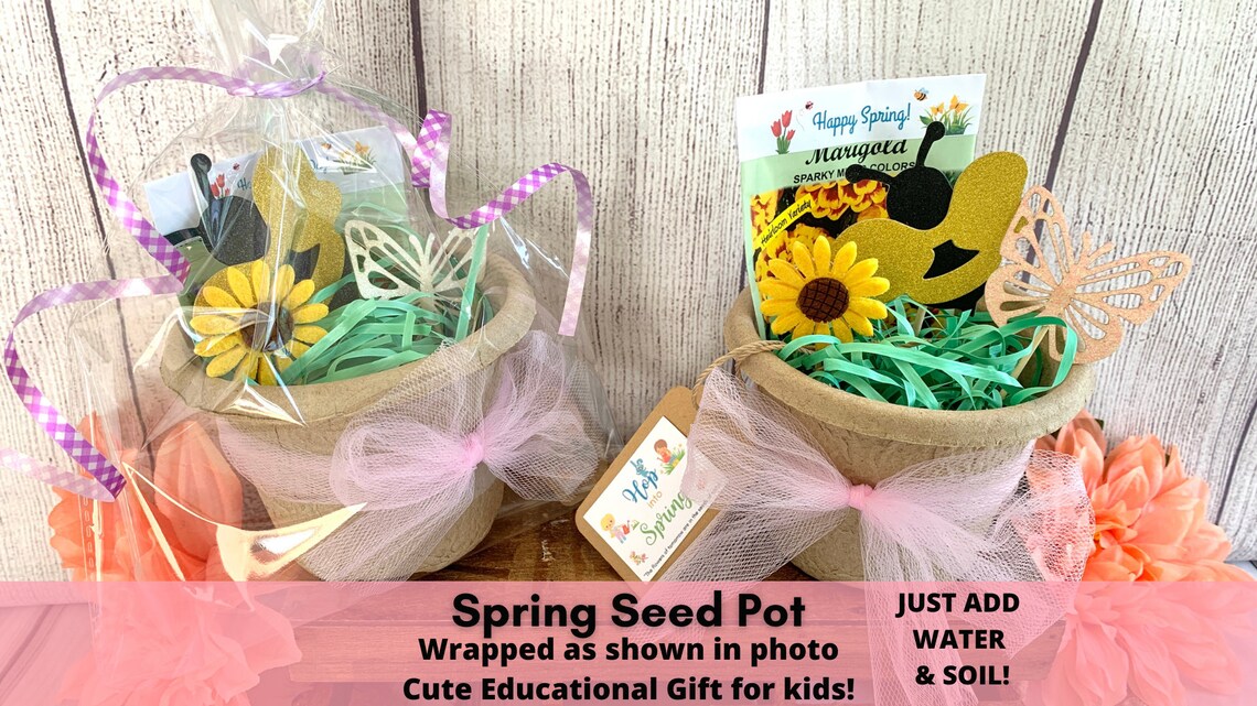 Seed Pot Kit Seed Kit Kids Birthday Gift Gift for kids Etsy