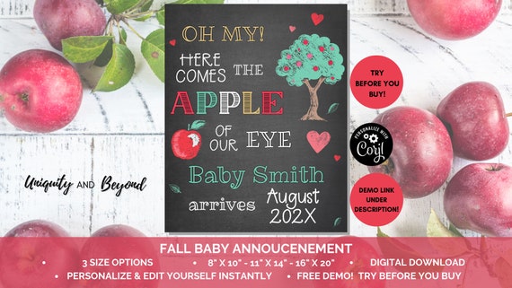 Fall Pregnancy Announcement Editable Pregnancy Announcement