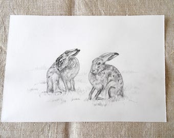 Original pencil drawing of two hares - graphite drawing - hares - animal art - original art - affordable art - pasture animals