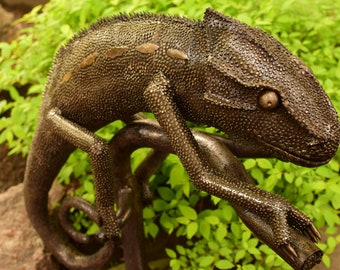 Chameleon on the tree art sculpture Stainless steel metal for garden, yard or living room