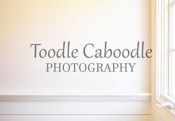 Styled Stock Photography Empty Wall With Shiplap And Window