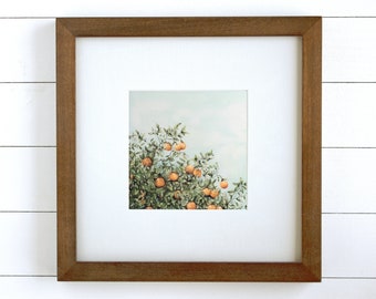 Oranges and Blossoms—Art Print from Original Watercolor Painting, Citrus artwork