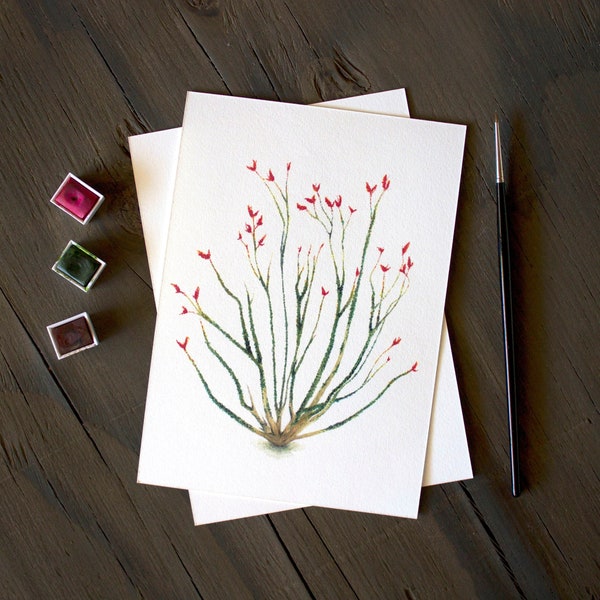 Ocotillo Plant Watercolor, Desert Botanicals, Succulent Decor, Desert Painting, Desert Bloom, Desert Plant Watercolor, Succulent Watercolor