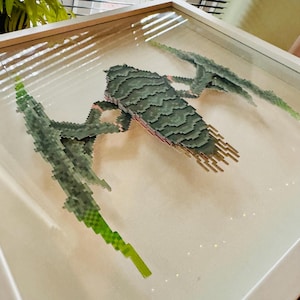 ENTOMOLOGIA DEL TITANO DELLA BILE - Pacchetto cornice e stampa pixel art con scatola di carta 3D "Helldivers 2" di Terminids