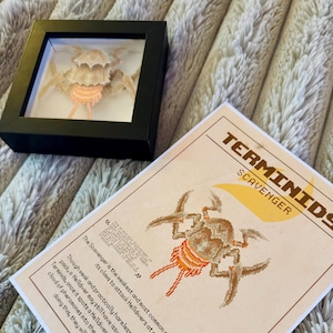 ENTOMOLOGIA SPAZZINO - Terminids "Helldivers 2" 3D paper shadow box pixel art cornice piccola e pacchetto di stampa