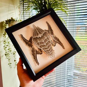 CHARGER ENTOMOLOGIA - Pacchetto cornice e stampa pixel art con scatola di carta 3D "Helldivers 2" di Terminids