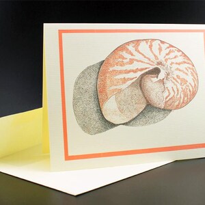 Nautilus Blank Inside Card/Shell Card/Nautilus Shell Card/Colorful Shell Art/All cards fits into a 5"x 7" frame!/PERSONALIZE IT! image 2