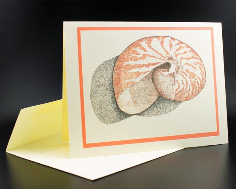 Nautilus Blank Inside Card/Shell Card/Nautilus Shell Card/Colorful Shell Art/All cards fits into a 5"x 7" frame!/PERSONALIZE IT! image 2