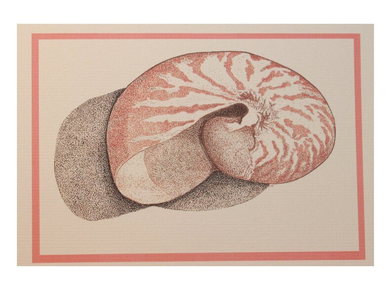 Nautilus Blank Inside Card/Shell Card/Nautilus Shell Card/Colorful Shell Art/All cards fits into a 5"x 7" frame!/PERSONALIZE IT! image 3