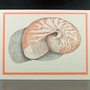 Nautilus Blank Inside Card/Shell Card/Nautilus Shell Card/Colorful Shell Art/All cards fits into a 5"x 7" frame!/PERSONALIZE IT! image 1
