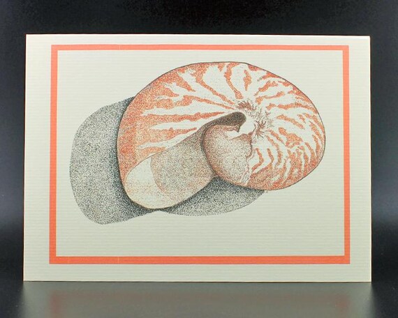 Nautilus Blank Inside Card/Shell Card/Nautilus Shell Card/Colorful Shell Art/All cards fits into a 5"x 7" frame!/PERSONALIZE IT!