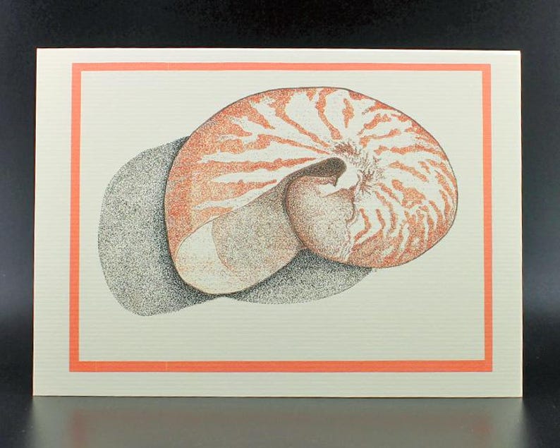 Nautilus Blank Inside Card/Shell Card/Nautilus Shell Card/Colorful Shell Art/All cards fits into a 5"x 7" frame!/PERSONALIZE IT! image 1