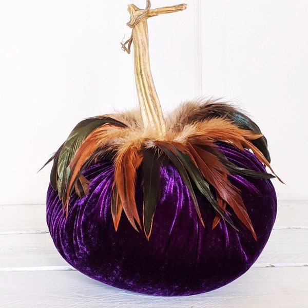 Silk velvet pumpkins with Schlappen Feather Collar, Table top decor, real pumpkin stem, autumn decor, Halloween party