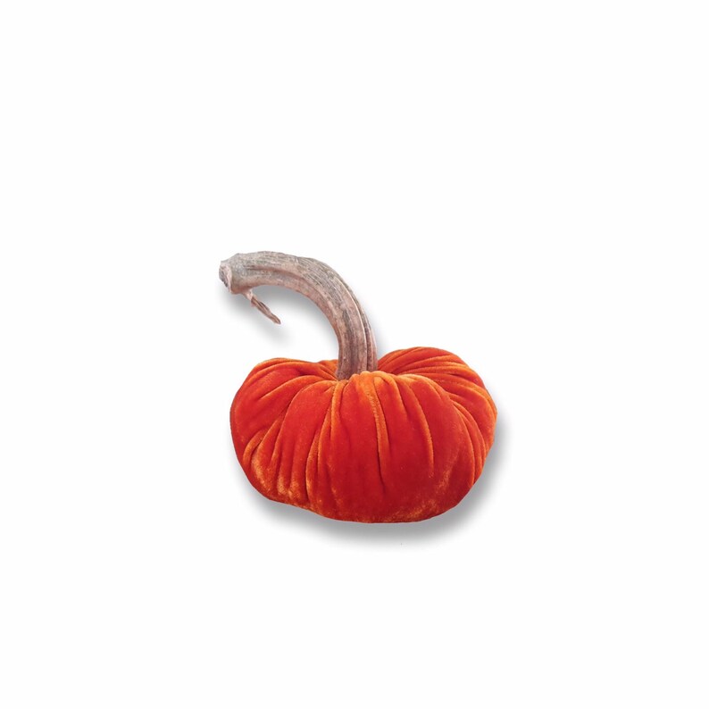 Silk velvet pumpkin Fall Sunrise trio with real pumpkin stem