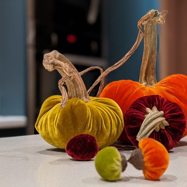 Silk Velvet Pumpkin Sets with real pumpkin stem, Autumn/Halloween Decor, farmhouse decor, home gifts, wedding decor