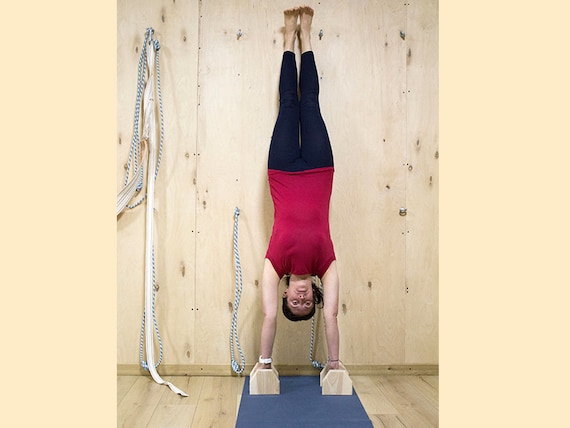 Parallette handstand push up hotsell