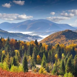 May include: A scenic view of a mountain range with a forest in the foreground. The trees are a mix of green, yellow, and orange, indicating the changing seasons. The mountains are in the distance, with a layer of fog or clouds in the valley.