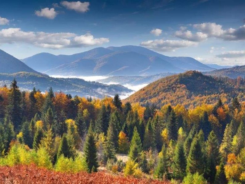 May include: A scenic view of a mountain range with a forest in the foreground. The trees are a mix of green, yellow, and orange, indicating the changing seasons. The mountains are in the distance, with a layer of fog or clouds in the valley.